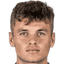 D. Višinský
