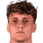 G. Piccinini